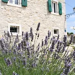 Castello Gulich